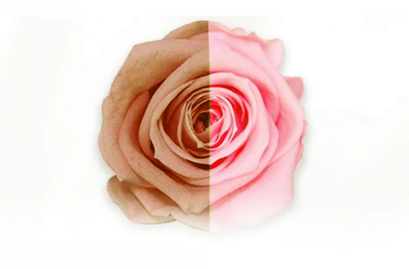 Làm hồng nhũ hoa giá bao nhiêu tiền? Yếu tố quyết định