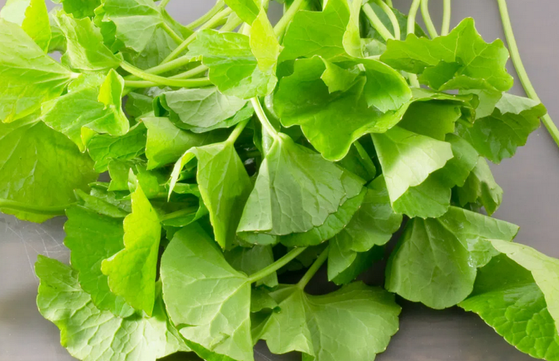 7 cách trị sẹo lồi tại nhà dễ làm, tiết kiệm chi phí